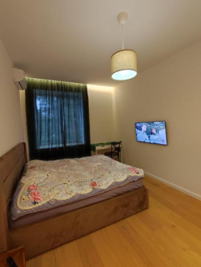 Lux apartment, near metro Vasylkivska